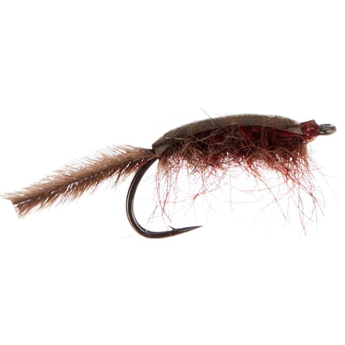 Gammariden Brown fra A. Jensen
