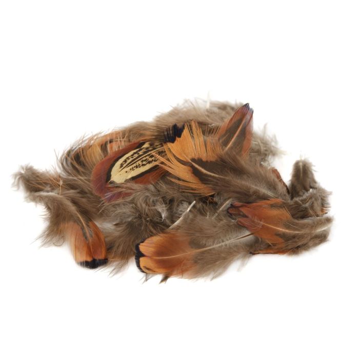 Pheasant Cock Ringneck Long Brown Rump fra Veniard