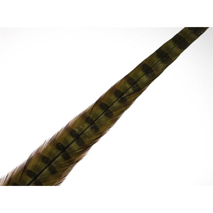 Wapsi Ringneck Tail Feathers Olive Pair fra Fly-dressing