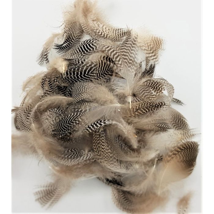 Teal Duck Flank Natural fra Veniard