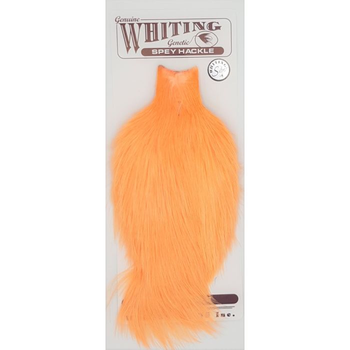 Silver Spey Hackle Cape White Dyed Salmon fra Whiting
